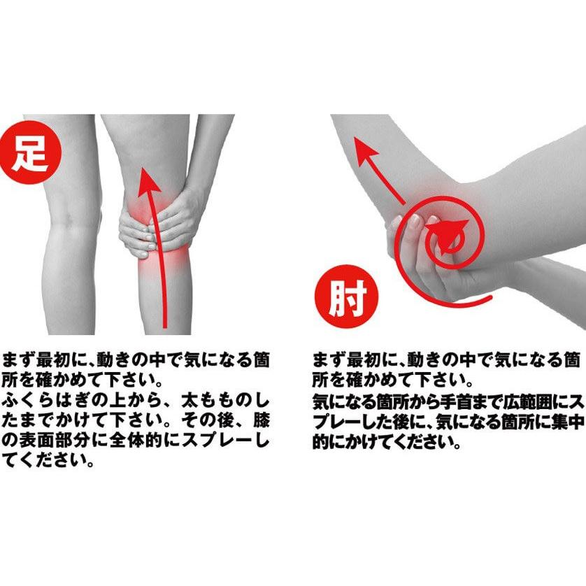 ボディケアに最適  Palourde(パルード) SPARK Total Body Care 即効体感全身ケアスプレー スパーク(18y3m) |  | 03