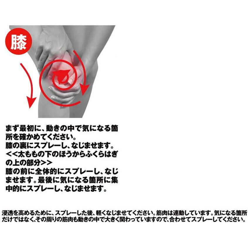 ボディケアに最適  Palourde(パルード) SPARK Total Body Care 即効体感全身ケアスプレー スパーク(18y3m) |  | 04