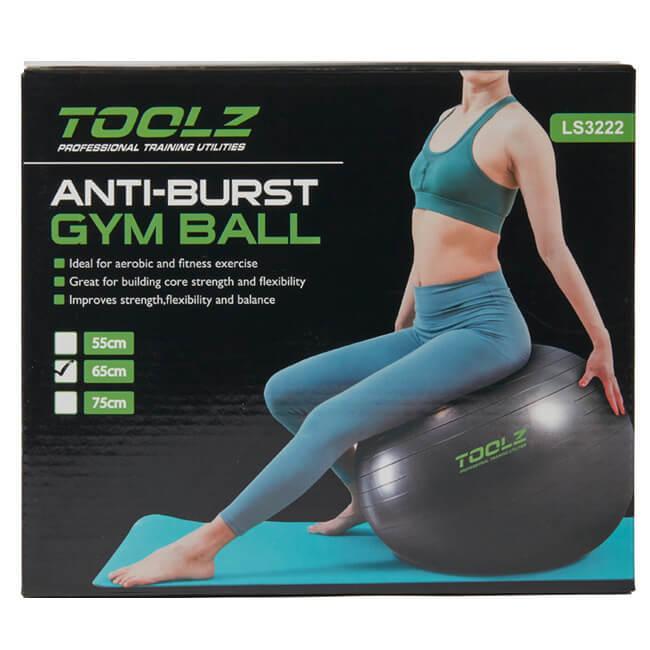 全身トレーニングに トップスピン(TOPSPIN) ／ツールズ(TOOLZ) ジムナスティック エクササイズボール 65cm LS3222-TZGNB65(21y1m) |  | 01