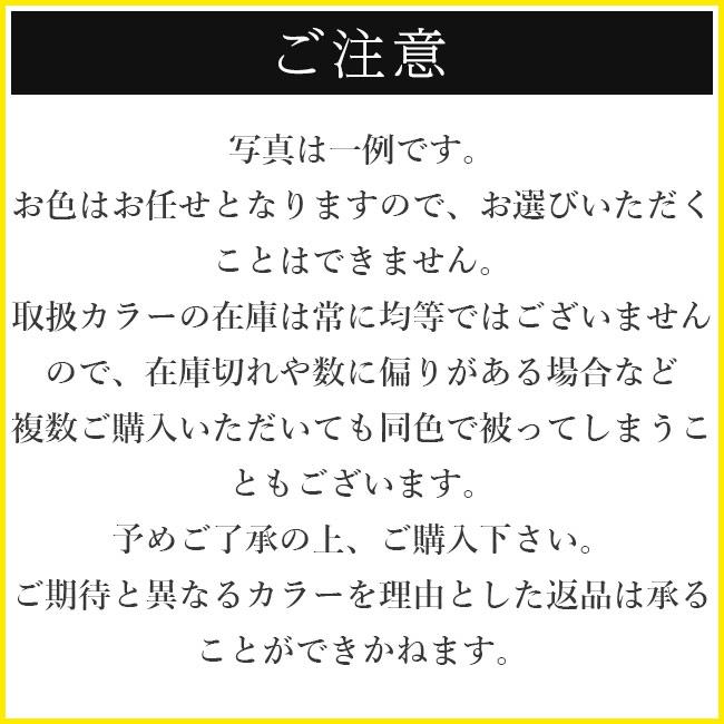 ノンパッケージ ルーセント(LUCENT) AKAEMU アカエム ソフトテニスボール用 セーフティ テニスポンプ 空気入れ バラ1個売り (23y1m) |  | 02