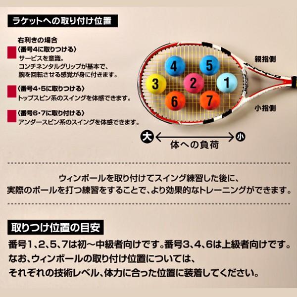 筋力アップ テニス素振り専用ウエイトボール ウチダ ウィンボールWinball(WI-120)(17y3m) |  | 01