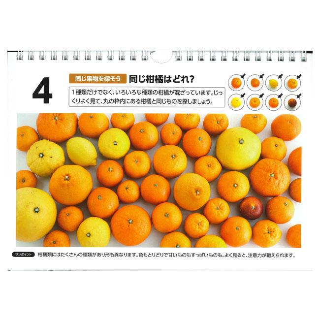 目で見て楽しめる 日めくり PHP研究所 見るだけでボケない脳になる  まいにち脳トレ  篠原菊紀 852010(22y9m) |  | 02