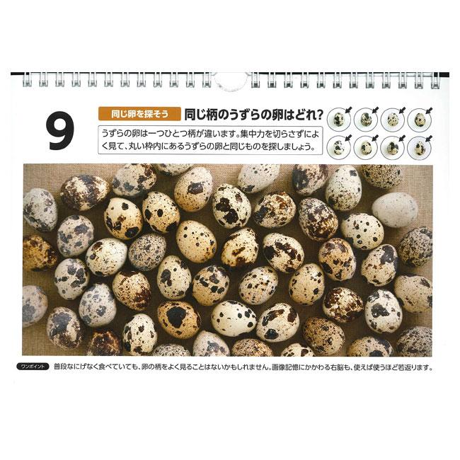 目で見て楽しめる 日めくり PHP研究所 見るだけでボケない脳になる  まいにち脳トレ  篠原菊紀 852010(22y9m) |  | 03