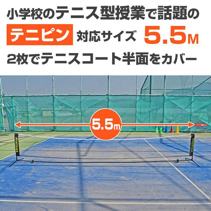 テニス馬鹿 (テニピン対応) 5.5Mバージョン ポータブル簡易ネット 