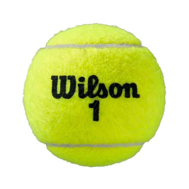 24缶入り ウィルソン(Wilson) 2023 ROLAND GARROS CLAY ローランギャロス クレイ テニスボール 1ケース(3球入×24) 全仏オープン 公式球 WRT125000(24y11m) | Wilson | 06