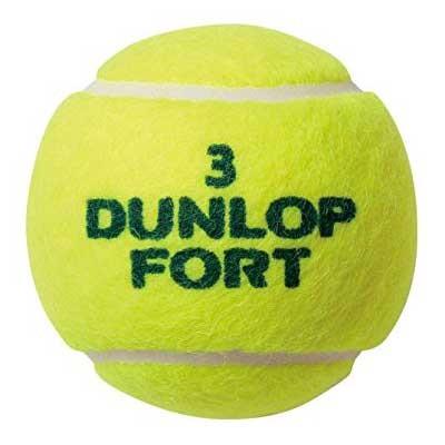 ダンロップ(DUNLOP) FORT(フォート) (１缶／4球)  硬式テニスボール | DUNLOP | 01