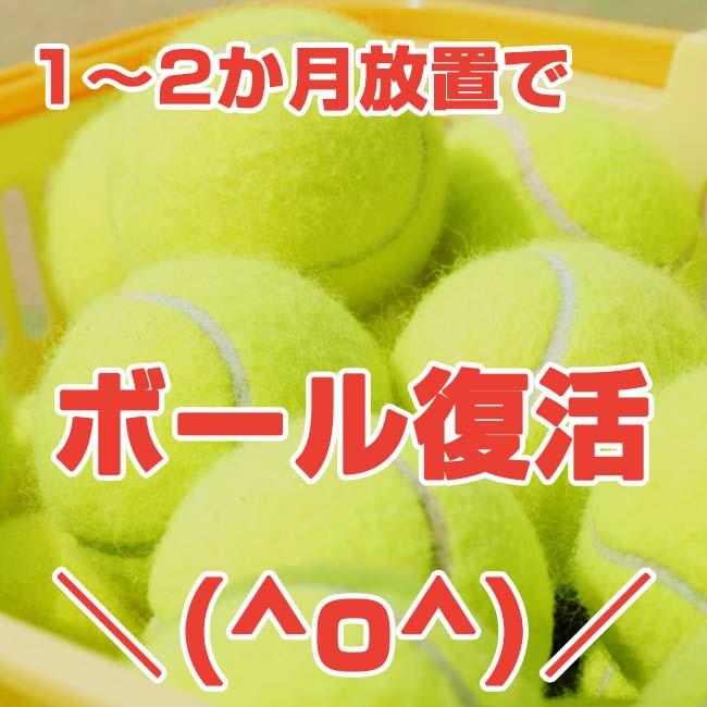 テニスボール用 テニス馬鹿 テニスボールリバイバー 大容量プレッシャライザー 約70球対応 テニスボール復活 加圧器 圧力回復 ※空気入れは付属しません |  | 07