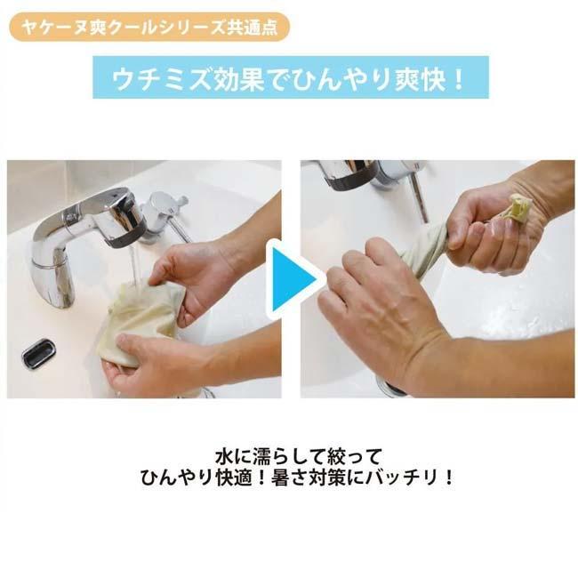 スナップボタンタイプ 丸福繊維(MARUFUKU)ヤケーヌ 爽クール SoCool フェイスカバー 日焼け防止 UVカット 熱中症対策 526／527／528／529／530(26y3m) |  | 15