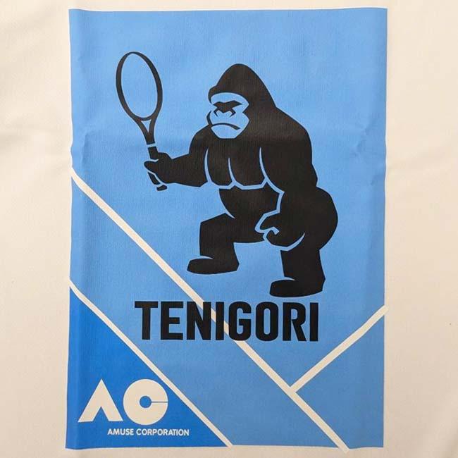 日本サイズ TENIGORI(テニゴリ) 2024 ユニセックス AC AMUSE CORPORATION ドライ半袖Tシャツ TGMT023-ホワイト×ブルー(24y6mテニス) |  | 03