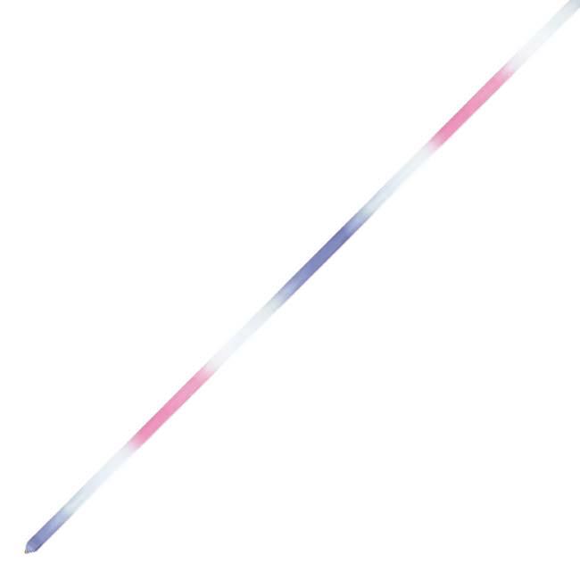 ササキ(SASAKI) ハイピッチグラデーションリボン 長さ4m MJ714HG MJ-714HG(24y1m) | ササキスポーツ | 02