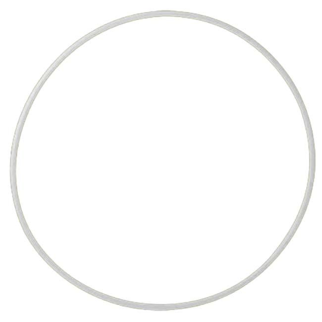 ササキスポーツ 内径85cm ササキ(SASAKI) 新体操 スタンダードフープ