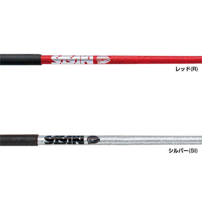 ササキ(SASAKI) ホログラムスティック 60cm 国際体操連盟認定品 M-781H-F(21y12m)M781HF | ササキスポーツ | 01