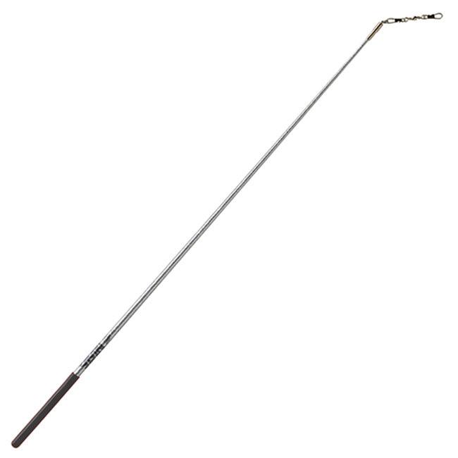 ササキ(SASAKI) ホログラムスティック 60cm 国際体操連盟認定品 M-781H-F(21y12m)M781HF | ササキスポーツ | 02