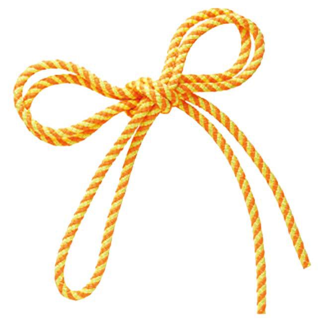 ササキ(SASAKI) ジュニア スパイラルロープ MJ-243MJ243 | ササキスポーツ | 02