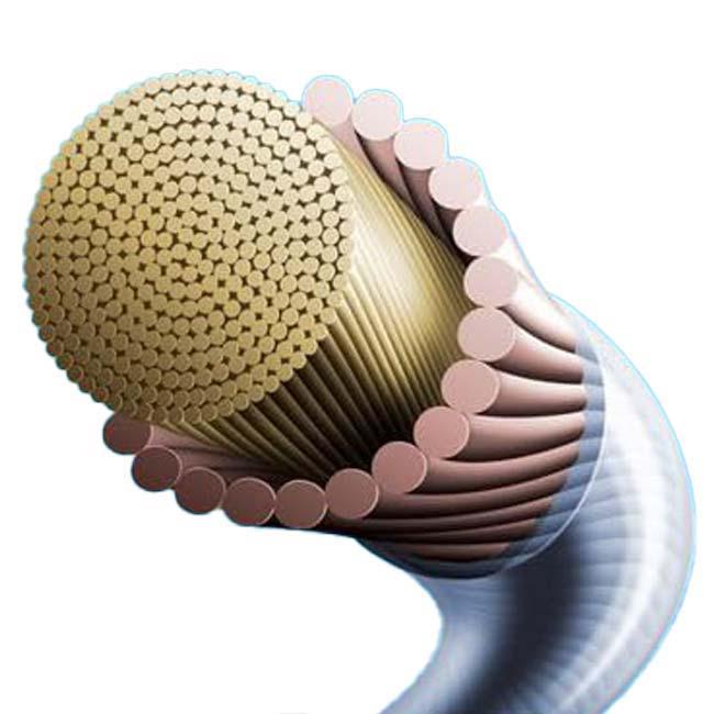 20張セット ノンパッケージ ゴーセン(Gosen) TECGUT テックガット5300 (1.32mm) ソフトテニス マルチフィラメントガット SS603NA20P | GOSEN | 01