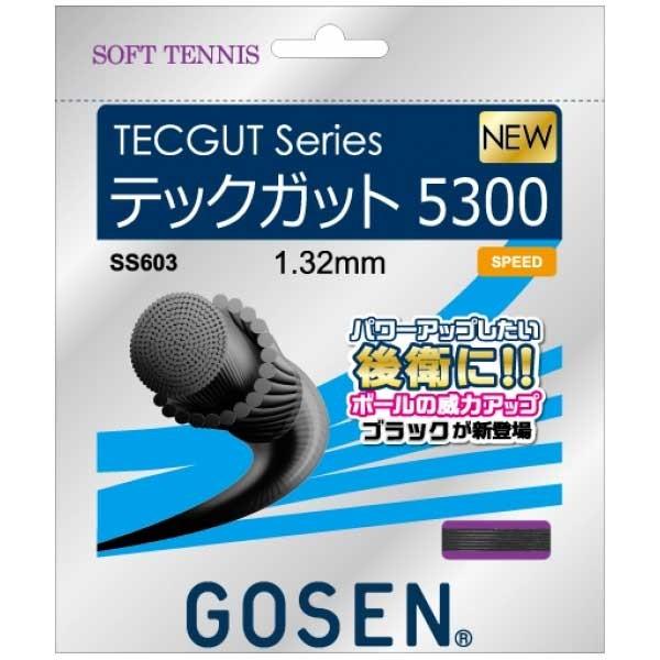 「パワーアップしたい後衛に!!」ゴーセン(GOSEN) テックガット 5300 SS603(17y10m)ソフトテニスガット｜amuse37｜04