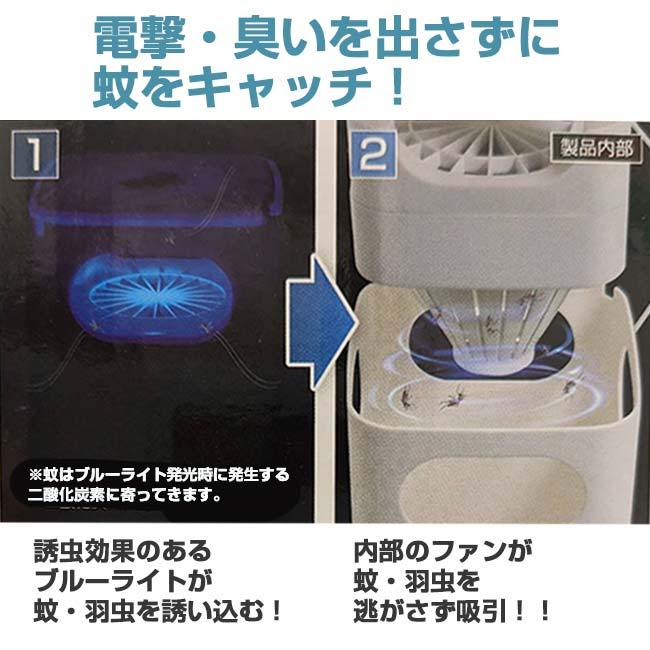 置くだけ簡単＆省エネで蚊を捕獲 ハック(HAC) 吸引式 エコロジー スクエア 蚊取りファン USB給電式 HAC4031A-ホワイト(24y6m) |  | 01