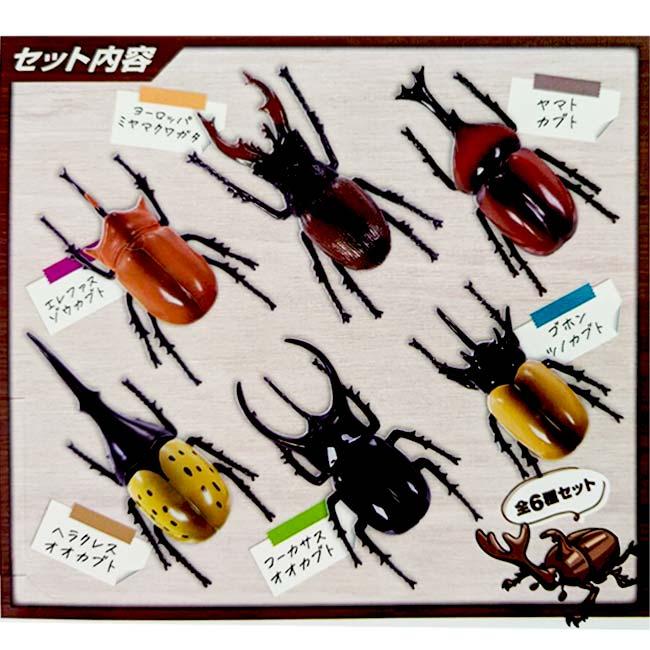 国産甲虫セット 志賀昆虫 中型ドイツ箱 週末値下げ 白熱のスピード昆虫バトル ハック(HAC) 激突プルバックカー カブト