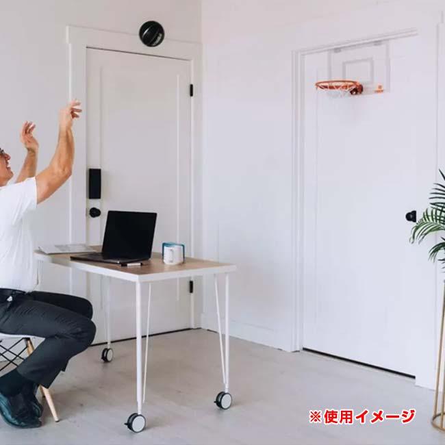 テック(Tekk) ミニバスケットボール フープ プロエディション