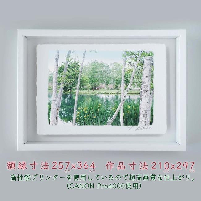 プロカメラマン片岡司 光画 緑輝く B4サイズ 光で描く絵 手漉き和紙仕上げ 010 B4 ホワイト綺麗 背景 パステルカラー 和紙アート 21y8m