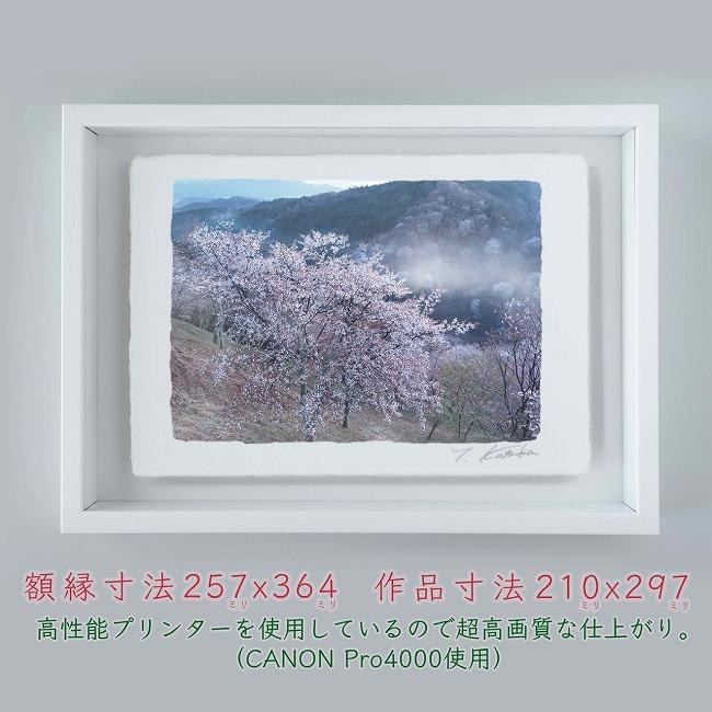 光の方へ「絵画」原画２L判サイズ 原画：宙を歩く～光を知った猫～（サイズ：F8号（額縁含む 横450mm×縦