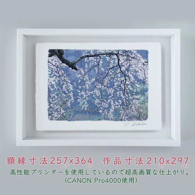 プロカメラマン片岡司 光画春雨の美 B4サイズ 光で描く絵 手漉き和紙