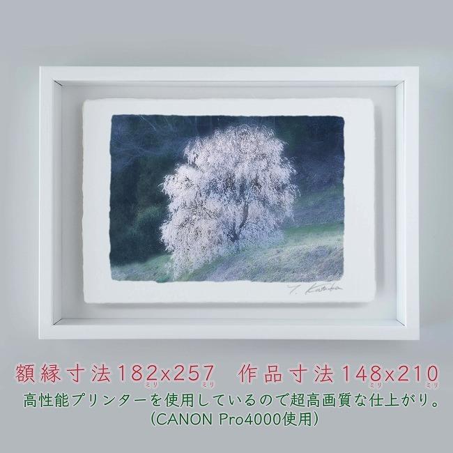 プロカメラマン片岡司 光画 桜の妖精 B5サイズ 光で描く絵 手漉き和紙仕上げ 005 B5 ホワイト綺麗 背景 パステルカラー 和紙アート 21y8m