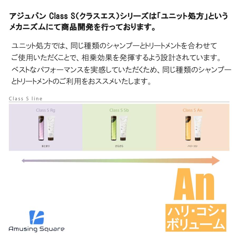 アジュバン Class S クラスエス An シャンプー (エアリーナチュラル) 300ml | ADJUVANT | 03