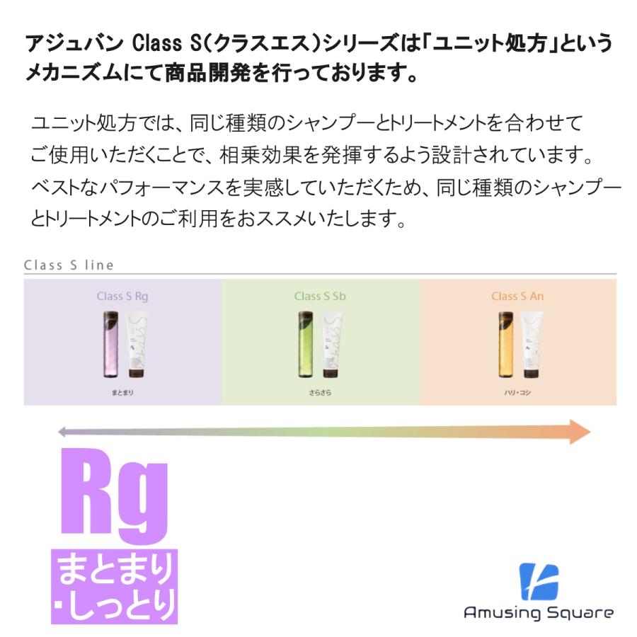 アジュバン Class S クラスエス Rg シャンプー (リッチグレイス) 300ml | ADJUVANT | 03