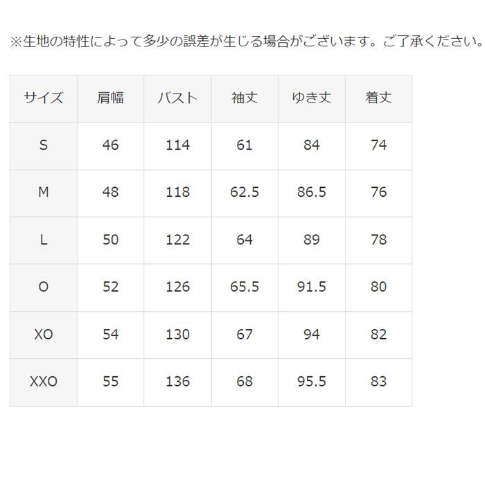 DESCENTE DWUWJK52 S.I.O 3L HARD SHELL JACKET / SHAUN 23-24モデル デサント スキーウェア シェルジャケット(2024)｜amuz｜04