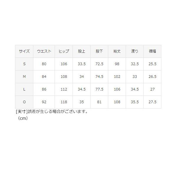 DESCENTE DESCENTE/デサント スキーウェア ラクシングパンツ DESCENTE DESCENTE/デサント スキーウェア ラクシングパンツ