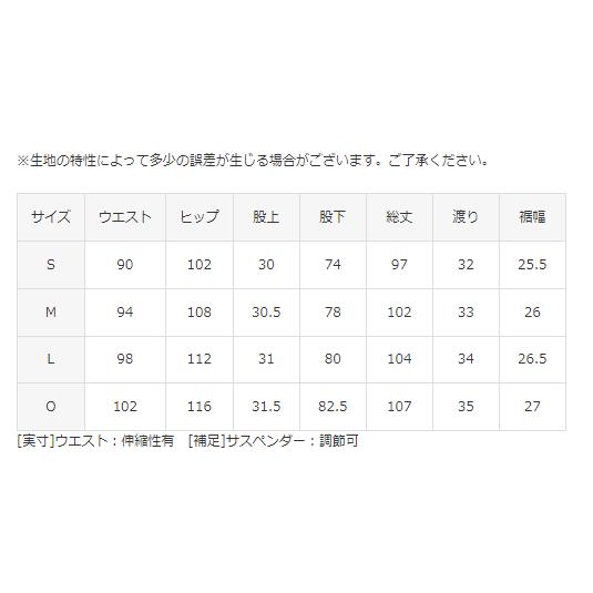 DESCENTE/デサント スノーウェア パンツ S.I.O ACTIVE SHELL BIB PANTS/DWUSJD57(2022)|amuz|06