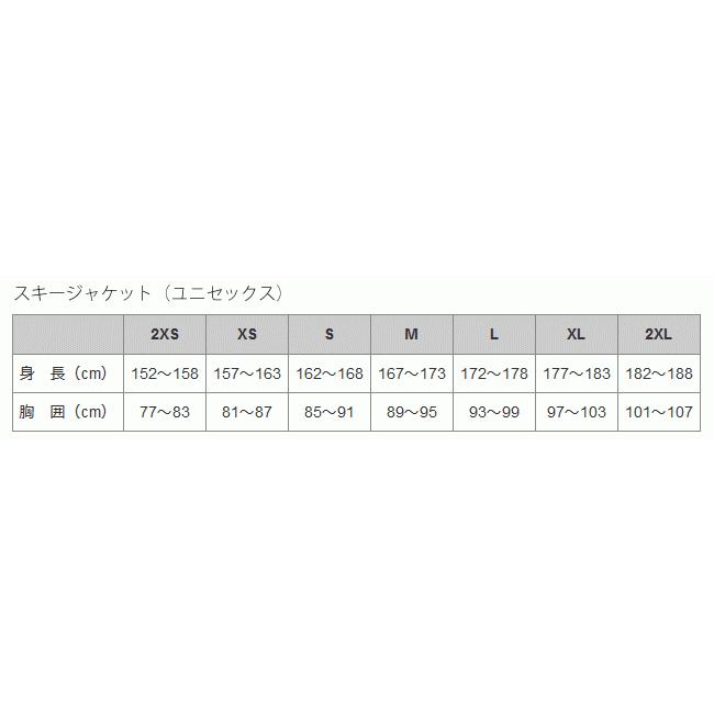 MIZUNO MIZUNO/ミズノ スキーウェア GSワンピース RACING SUIT MIZUNO MIZUNO/ミズノ スキーウェア GSワンピース RACING SUIT
