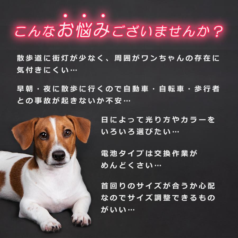 犬 首輪 光る レインボー おしゃれ LED ライト USB 充電式 猫 光る首輪 ペット 夜 散歩｜amvision-store｜11