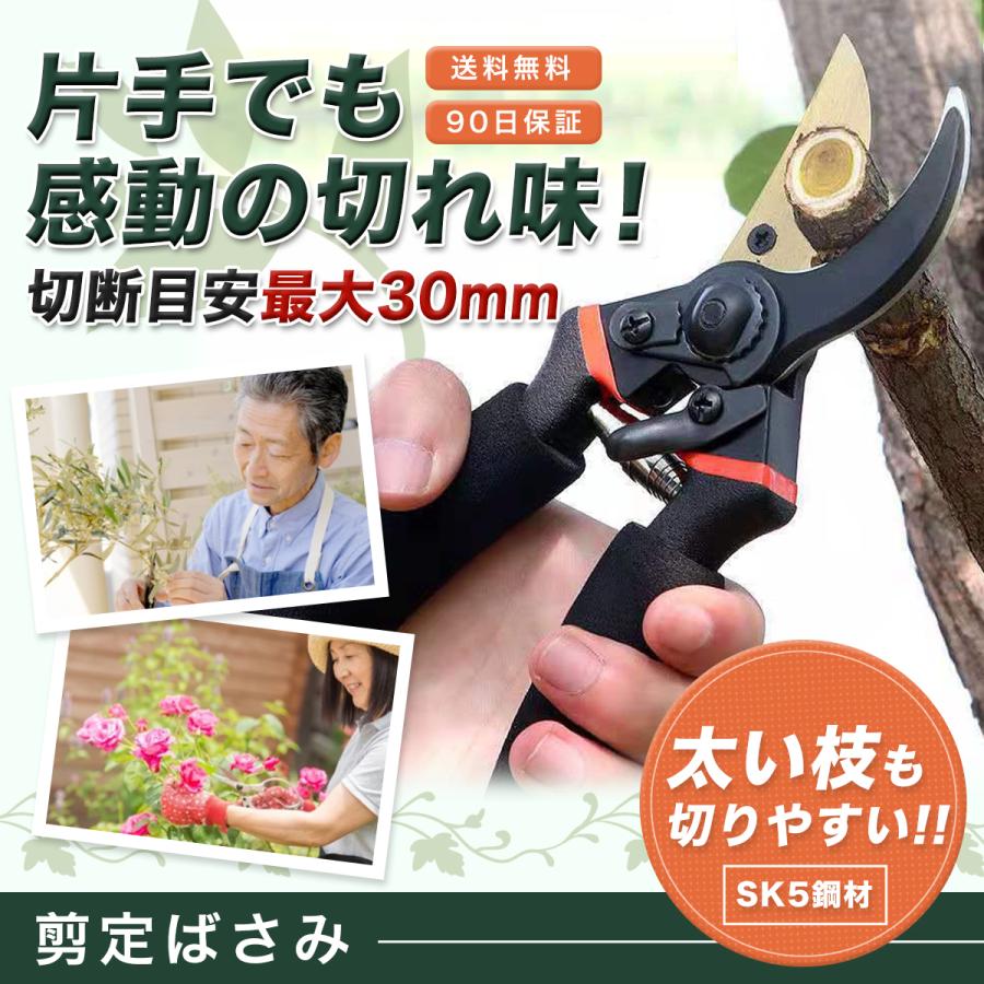 剪定ばさみ バネ プロ 剪定 ばさみ ガーデニング 剪定はさみ 剪定ハサミ 花ハサミ 枝切り Ny170 Amvision 通販 Yahoo ショッピング