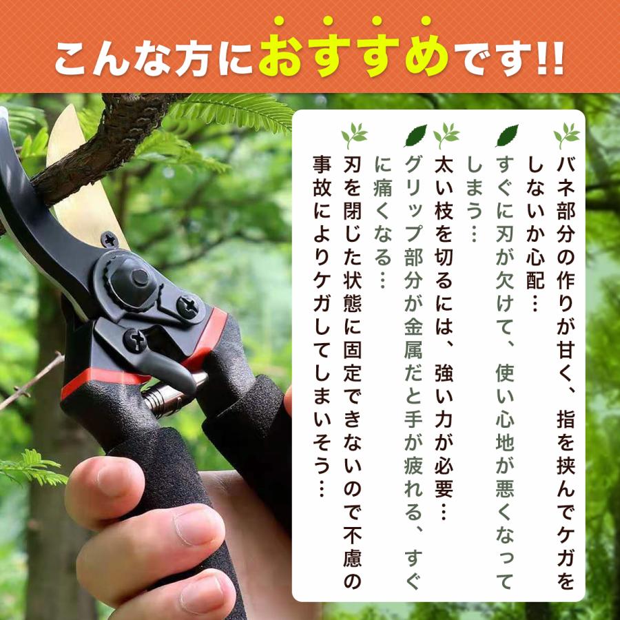 剪定ばさみ バネ プロ 剪定 ばさみ ガーデニング 剪定はさみ 剪定ばさみ バネ プロ 剪定 ばさみ ガーデニング 剪定はさみ
