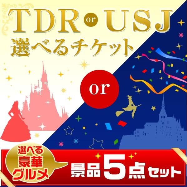二次会 景品 ディズニー Or Usj 選べるペアチケット 選べる景品 セット 豪華グルメ5点 目録 A3パネル付 Iestpsausa Edu Pe