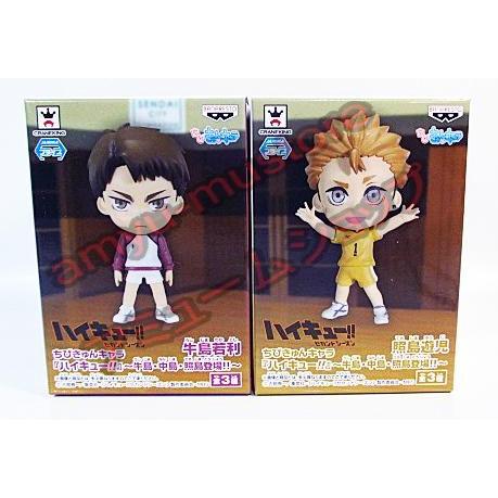 ハイキュー!! ちびきゅんキャラ〜牛島・中島・照島登場！！〜 照島遊児