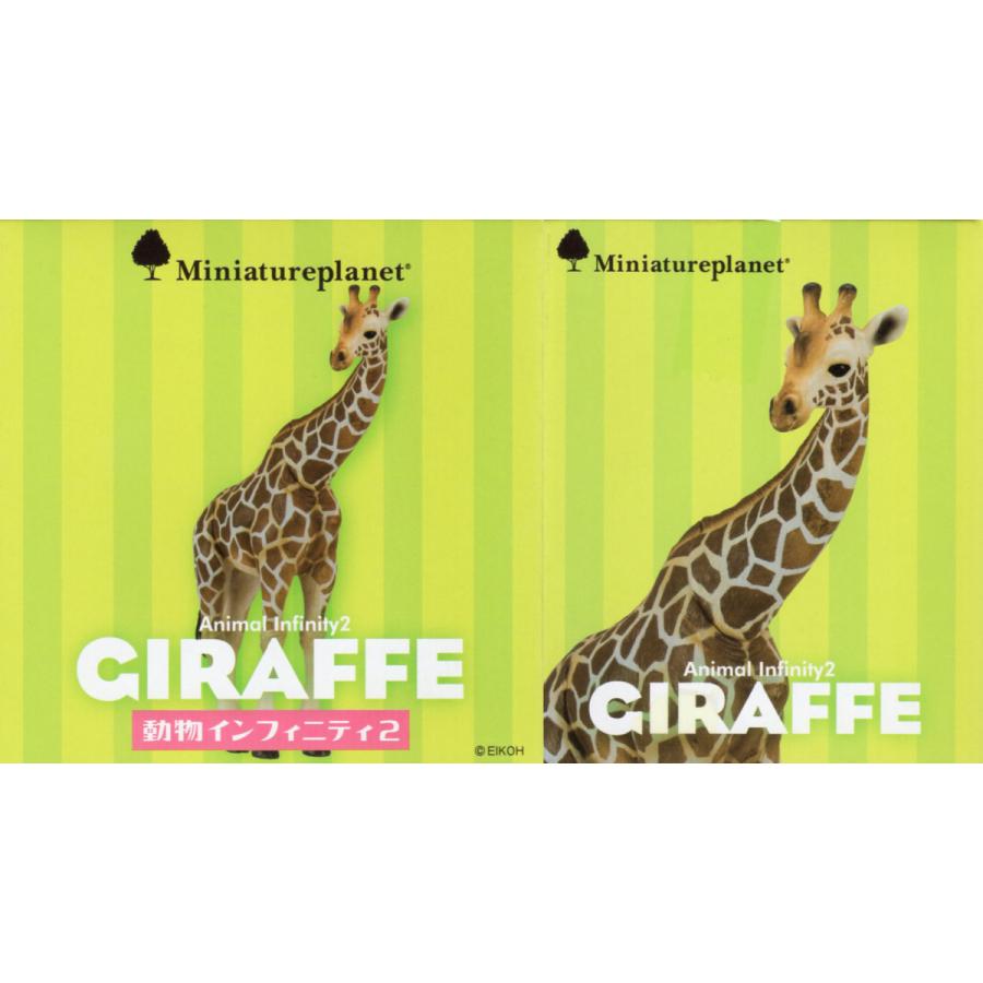 ミニチュアプラネット 動物インフィニティ2 アミメキリン : アミューム