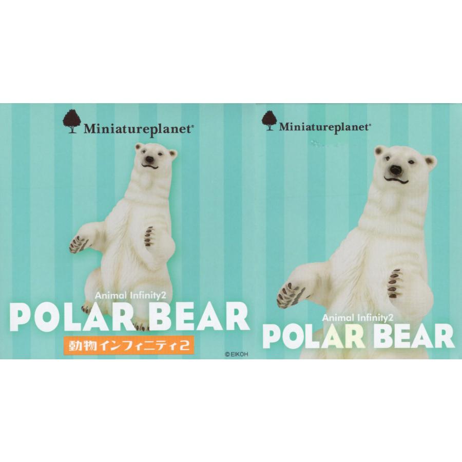 ミニチュアプラネット 動物インフィニティ2 ホッキョクグマ : アミュー
