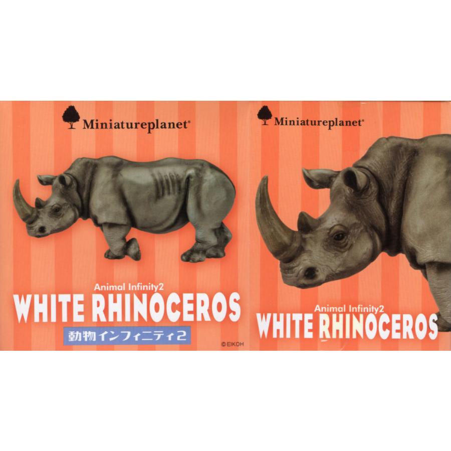 ミニチュアプラネット 動物インフィニティ2 シロサイ : アミューム