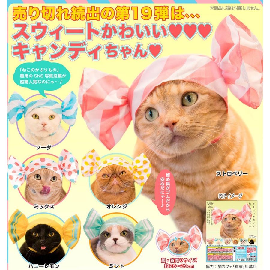 ねこのかぶりもの かわいいかわいい ねこキャンディちゃん 全6種セット コンプ コンプリート C アミュームショップ 通販 Yahoo ショッピング