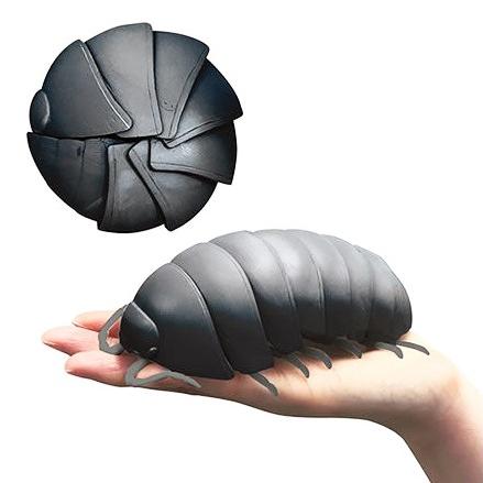 だんごむし Dangomushi ダンゴムシ C アミュームショップ 通販 Yahoo ショッピング