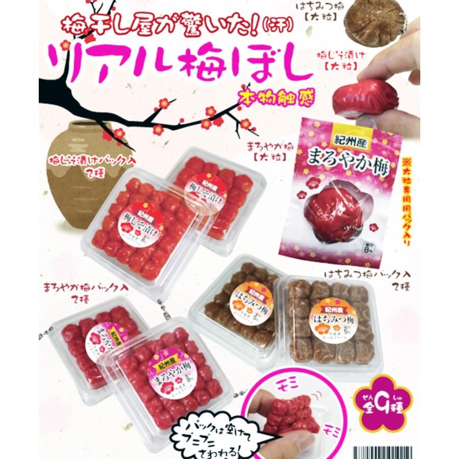 本物触感 リアル梅ぼし 梅干し屋が驚いた 全9種セット コンプ コンプリート C アミュームショップ 通販 Yahoo ショッピング