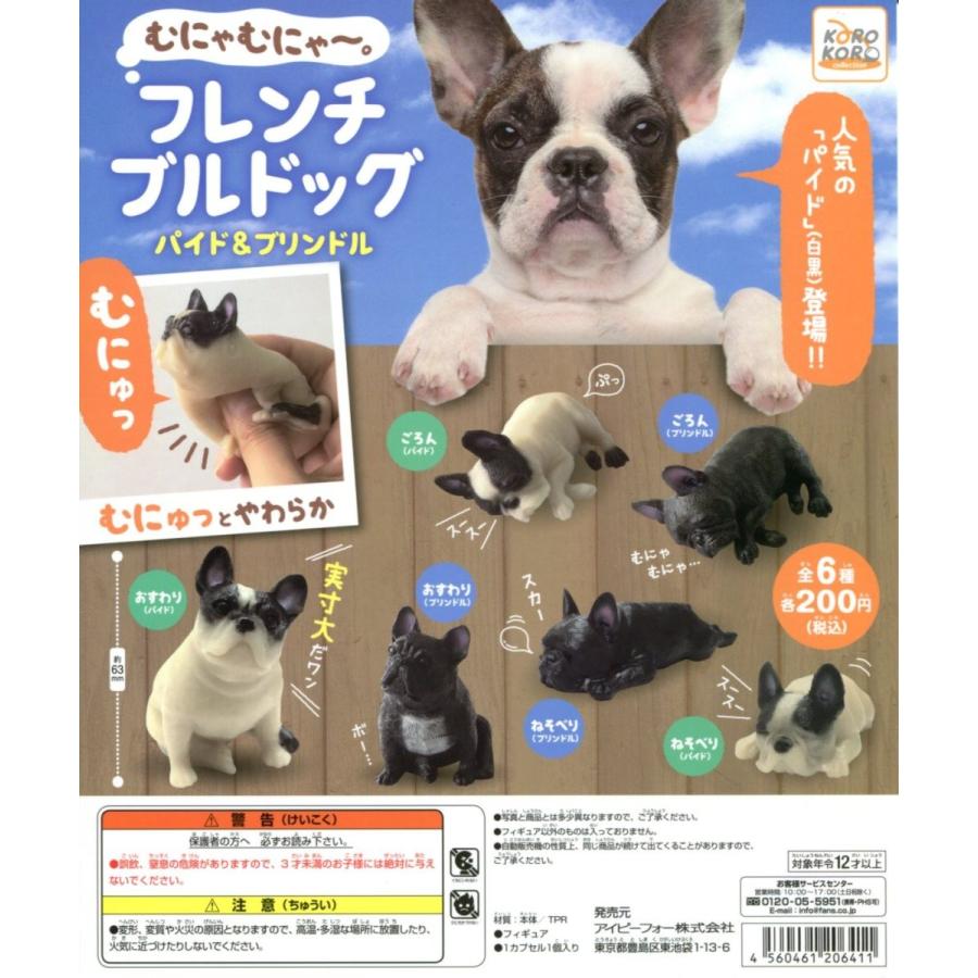 むにゃむにゃ フレンチブルドッグ パイド ブリンドル 全6種セット コンプ コンプリート C アミュームショップ 通販 Yahoo ショッピング