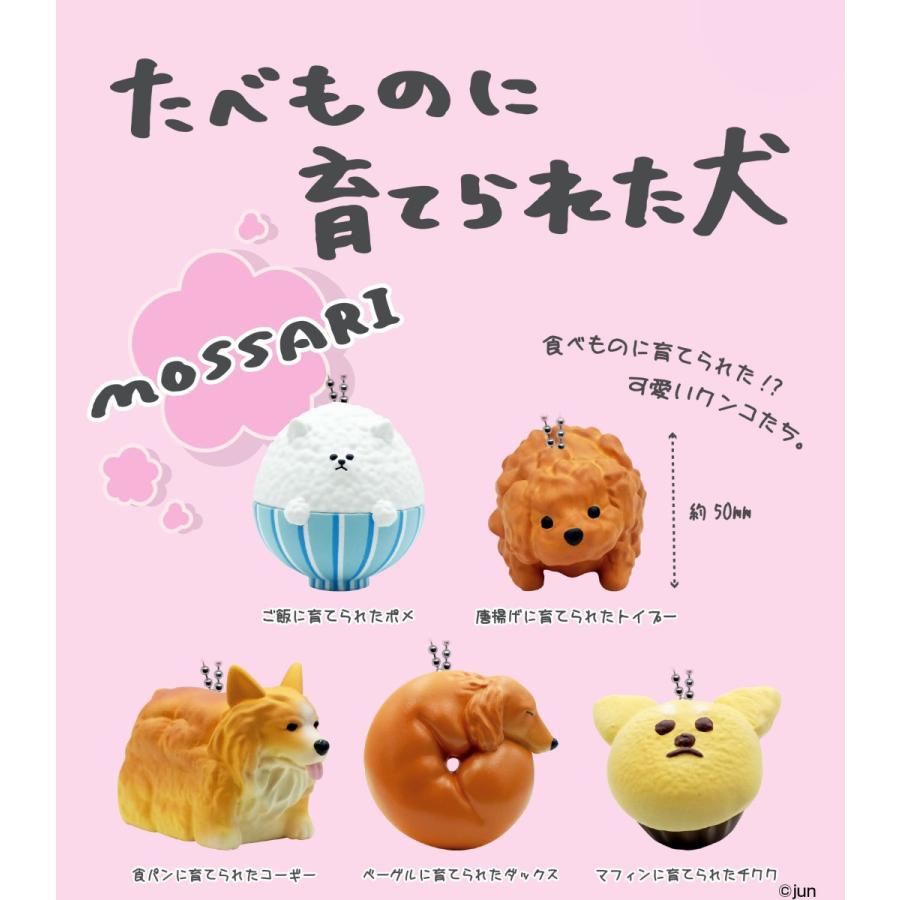 たべものに育てられた犬 全5種セット コンプ コンプリート C アミュームショップ 通販 Yahoo ショッピング