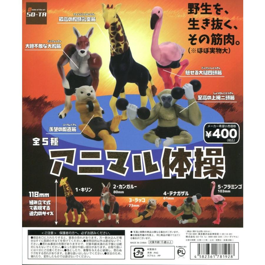 アニマル体操 全5種セット コンプ コンプリート : アミュームショップ