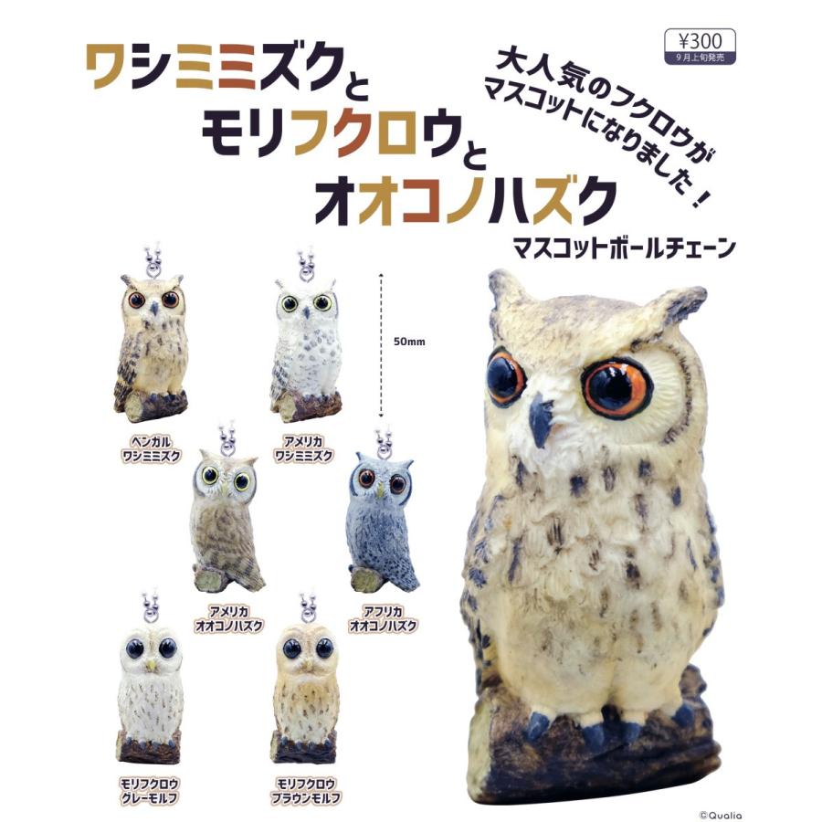 ワシミミズクとモリフクロウとオオコノハズクマスコットボールチェーン 全6種セット コンプ コンプリート C アミュームショップ 通販 Yahoo ショッピング