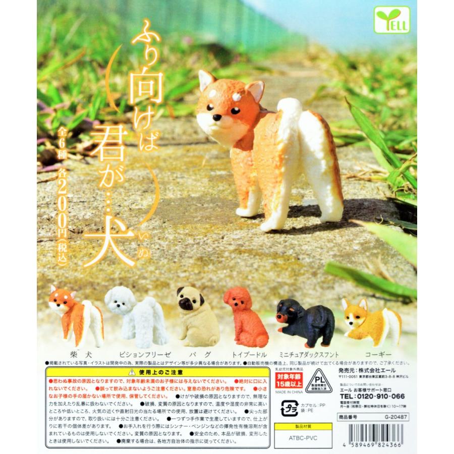 ふり向けば君が 犬 全6種セット コンプ コンプリート C アミュームショップ 通販 Yahoo ショッピング