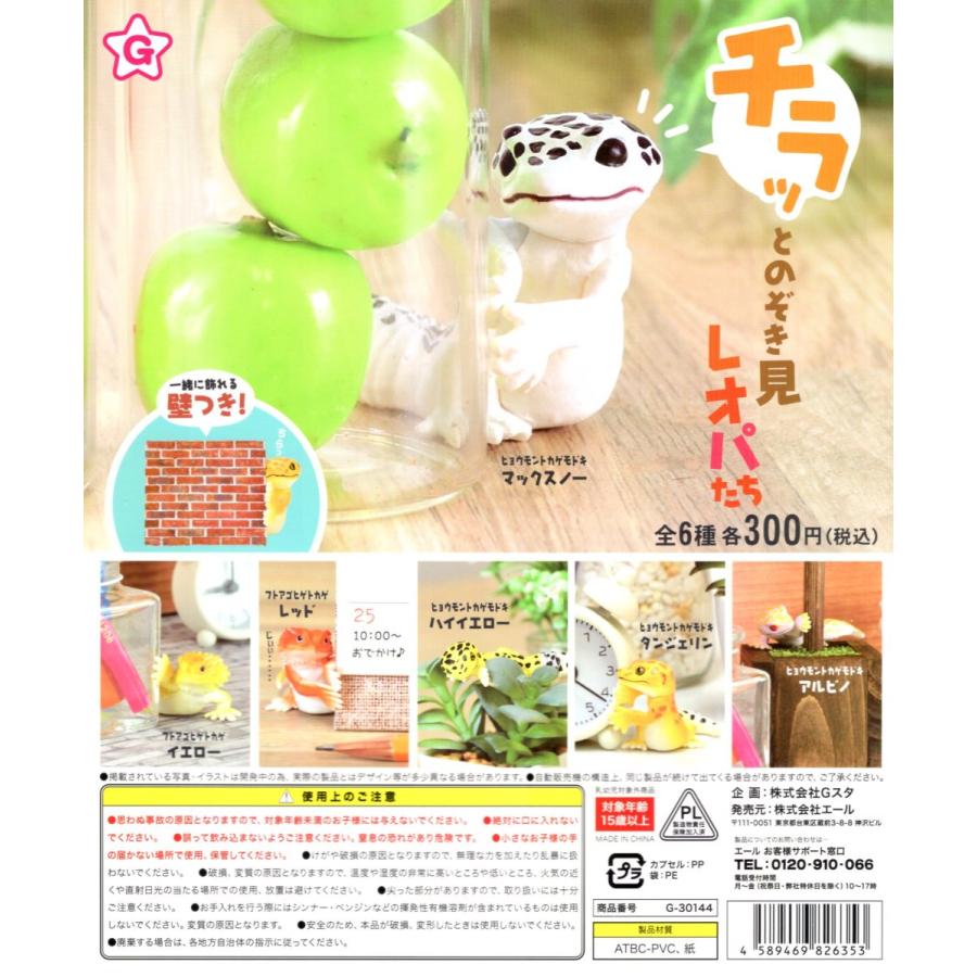 チラッとのぞき見レオパたち 全6種セット コンプ コンプリートセット C アミュームショップ 通販 Yahoo ショッピング